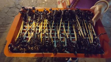 Scorpion Brochettes, you also can find ants and other insects